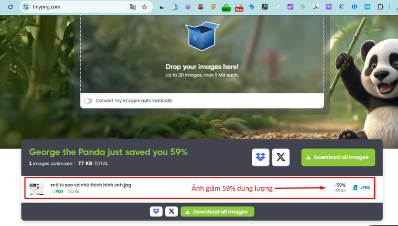 công cụ seo hình ảnh tinypng giảm dung lượng